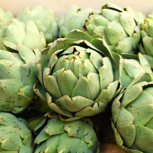 Artichoke - Image 2