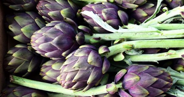 Artichoke - Image 3