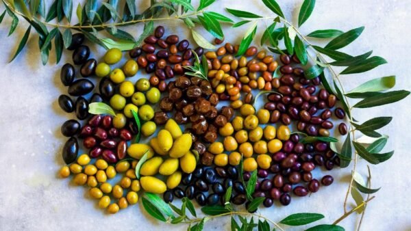 Canned olive - Image 5